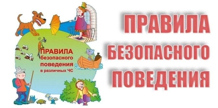 Безопасное поведение на улице, в школе и дома